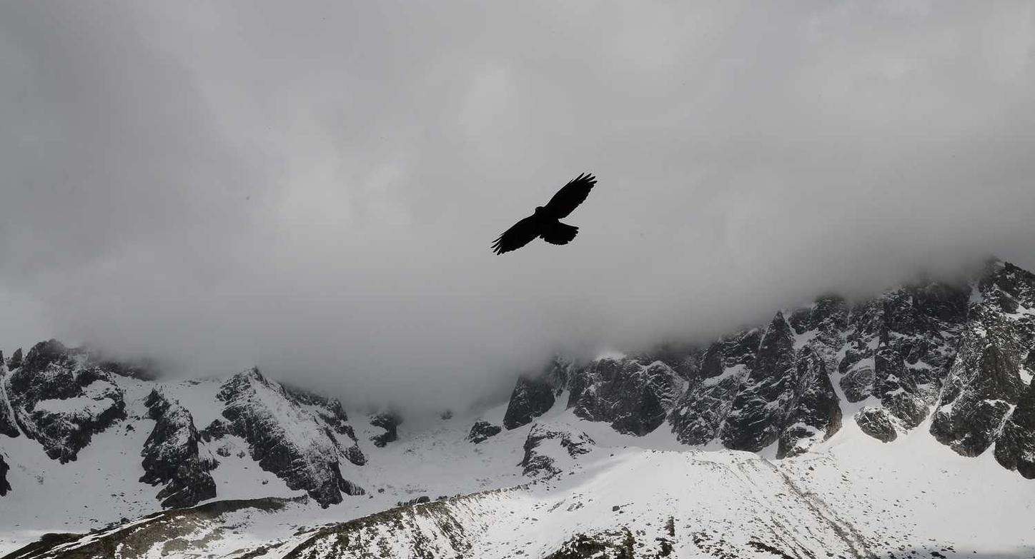 赫兹实名账号:米乐体育官网app 详情下载教程