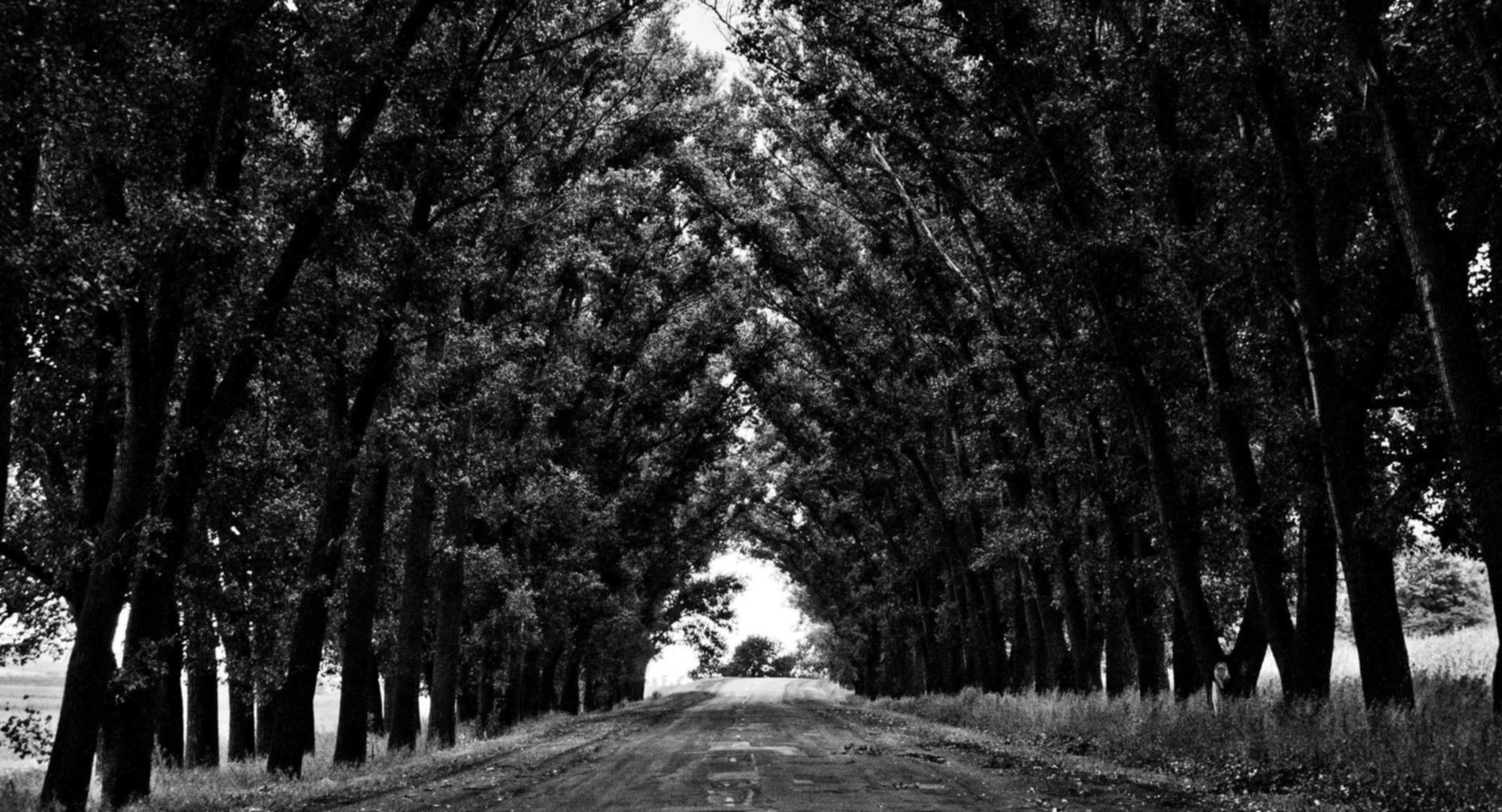 方盒爱国中支:温州代理注册公司代理公司