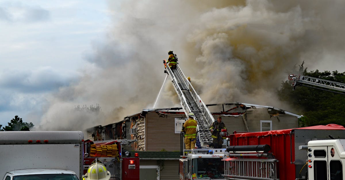 猎手之王辅助- 马上金app详情下载教程