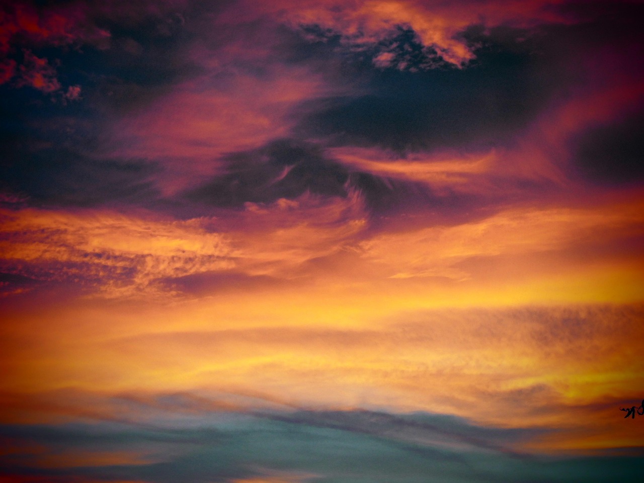 短信反馈和调查：如何了解你的客户