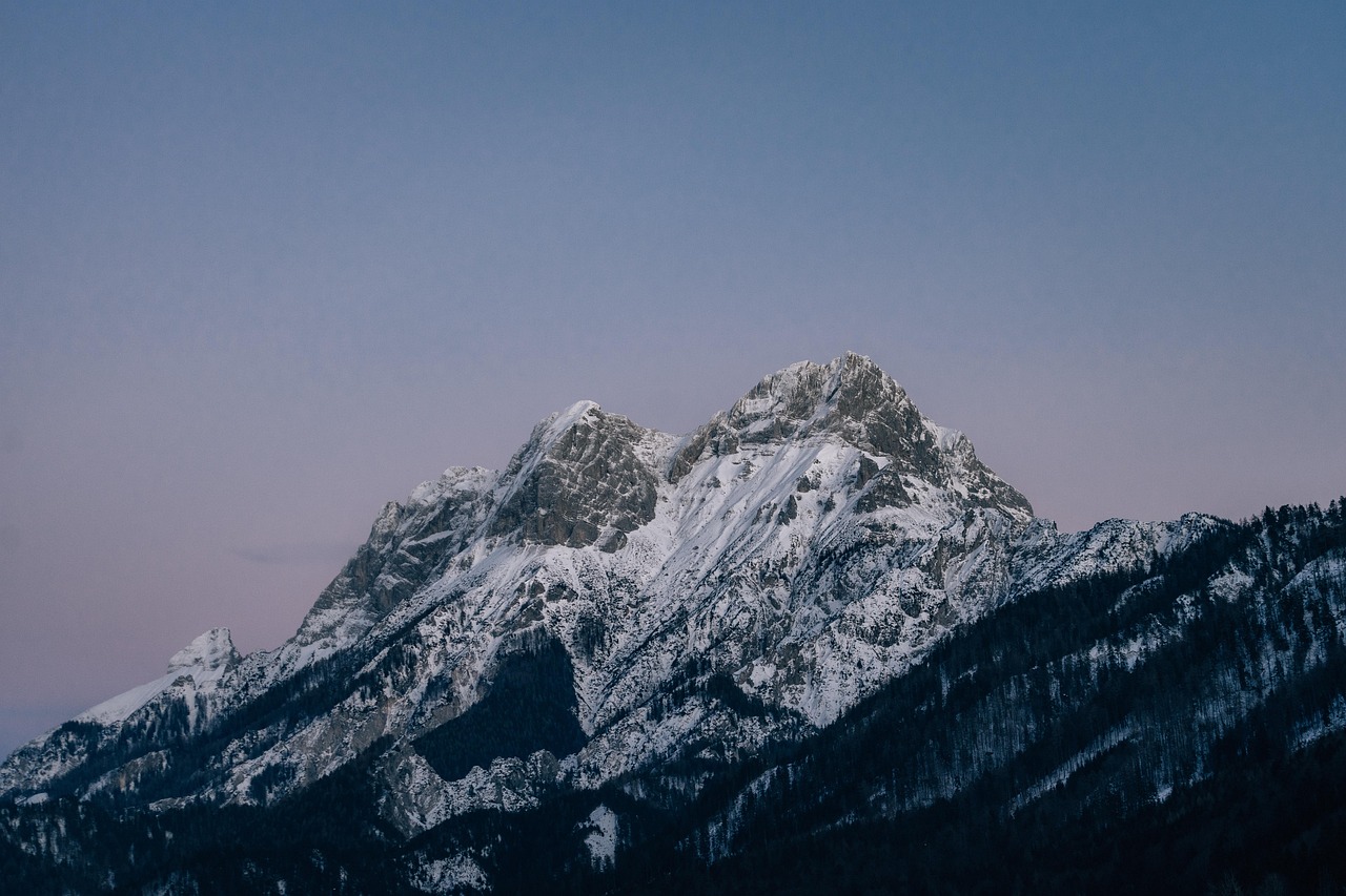 虹口代理公司注册材料