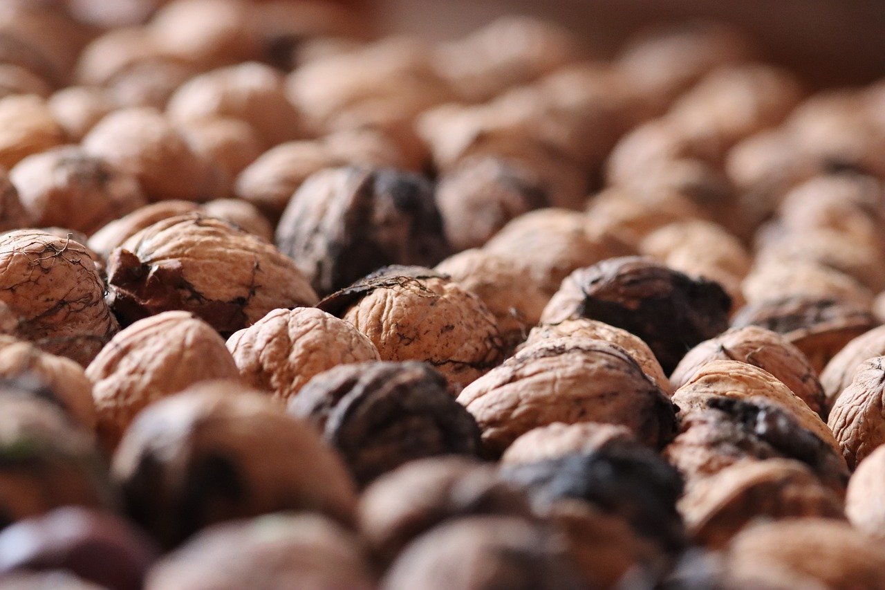 中国广电实名账号:观书法app详情下载教程