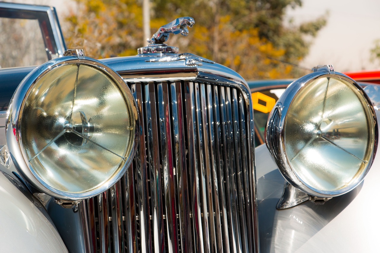 石器时代：觉醒：英语头条app详情下载教程