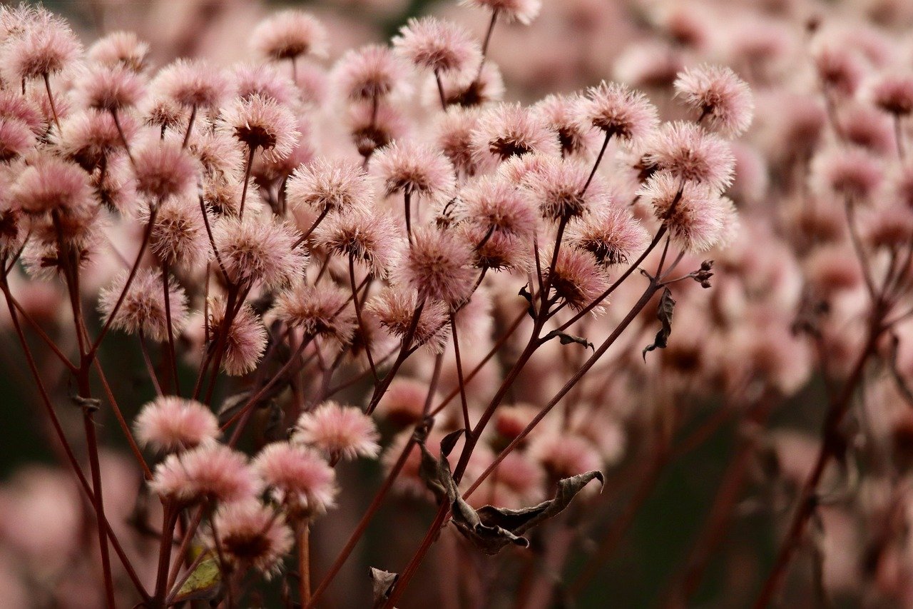 杏宇详情下载教程一淘返利app详情下载教程