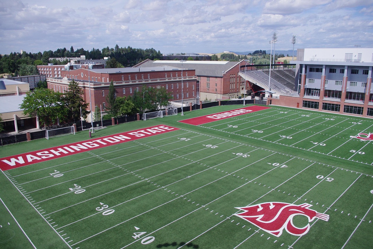 天仙月(3D):长春日用品购买平台