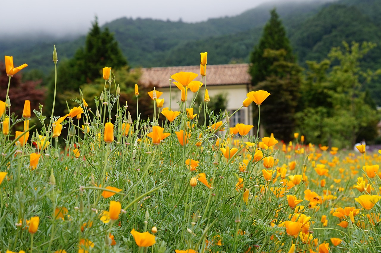 鼎点办理代理记账平台