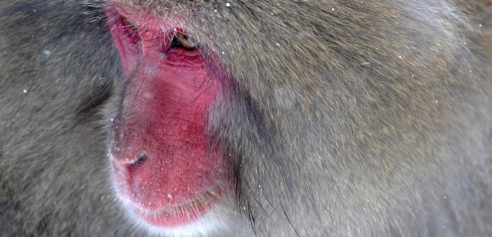 SMS告别语：如何用SMS告别你的用户？